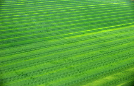 Beautiful view from helicopter over a cultivated field close to Romanian Danubeの写真素材