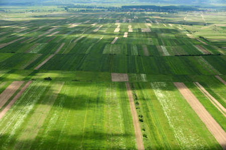Beautiful view from helicopter over a cultivated fieldの写真素材