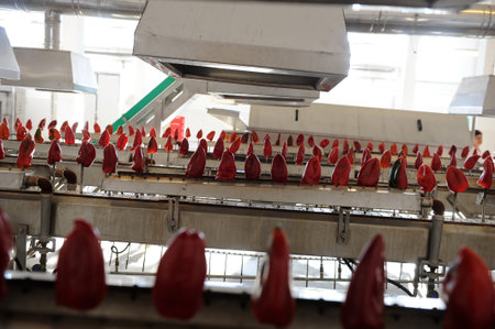Red bell pepper on the processing line