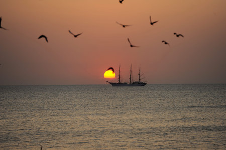 Sailing boat on calm waters and flying seagulls in the dawn