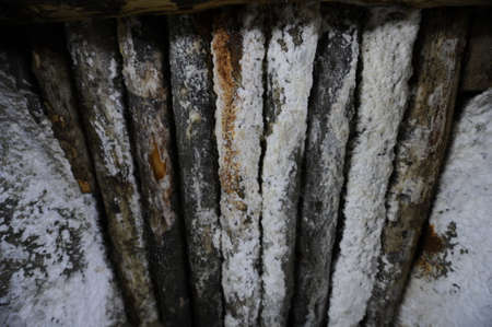 Interior of a salt mine in Romaniaの写真素材