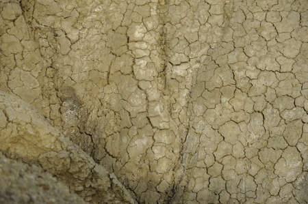 Abstract detail dried soil from a muddy volcanoes areaの写真素材