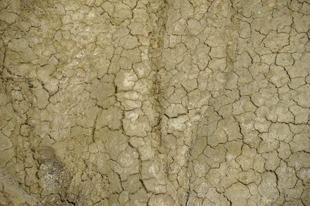 Abstract detail dried soil from a muddy volcanoes area