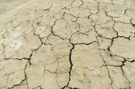 Abstract detail dried soil from a muddy volcanoes area