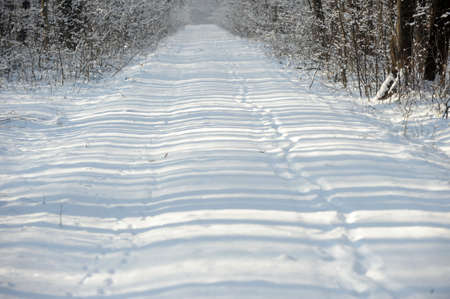 Winter landscapeの写真素材