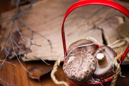 Mushrooms in metallic red basket on a dark wood and bark background