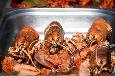 Close up of freshly boiled red lobster on display for sale at a street food festival, ready to eat seafoodの写真素材