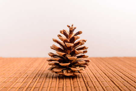 Close up of a decorative brown pine cone on a wooden surface on a table at home, in warm light, space for textの写真素材