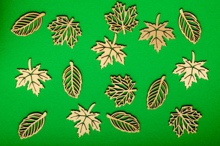 Different types of delicate light brown wooden leaves on textured vivid green cardboard, top view,...