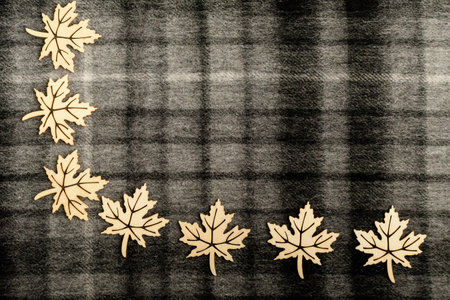 Seven delicate light brown wooden leaves on black and grey textured textile wool material background...