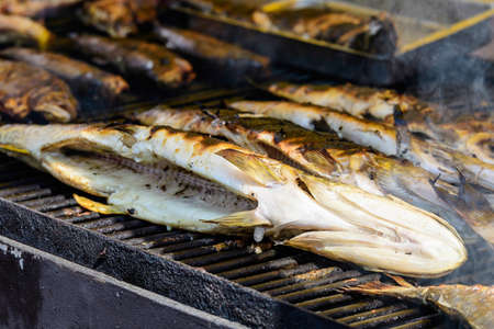 Row of mackerel fish prepared on hot hood a street food festival, cooked and ready to eat healthy seafood, beautiful orange monochrome outdoor backgroundの写真素材