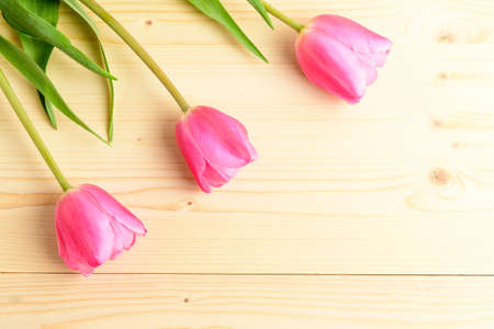Top view of three small vivid pink tulip flowers and green leaves on a raw wooden table, beautiful indoor floral background photographed with small focusの写真素材