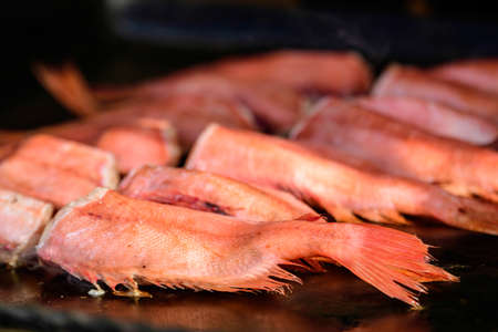 Raw Rose fish also known as ocean perch, Atlantic golden redfish, bream or hemdurgan ready to be grilled on a black metallic surface, healthy seafood, beautiful orange monochrome outdoor backgroundの写真素材