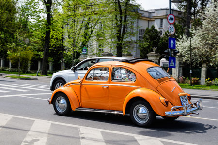 Bucharest, Romania, 24 April 2021 Old retro vivid orange Volkswagen Beetle classic car in traffic in...