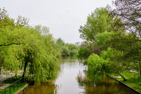 Landscape with water and green weeping willow trees on the shoreline of Titan Lake in Alexandru Ioan Cuza (IOR) Park in Bucharest, Romania,  in a cloudy spring day with white skyの写真素材