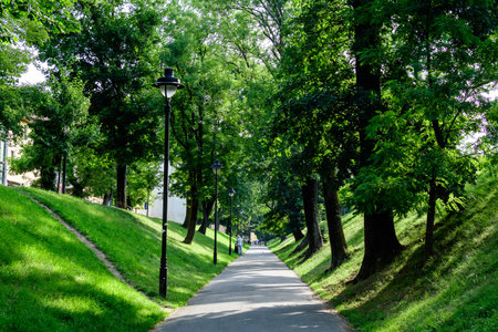 Long alley and green trees in the Citadel Park (Parcul Cetatii), in the historical center of the Sibiu city, in Transylvania (Transilvania) region of Romania, in a sunny summer dayの写真素材