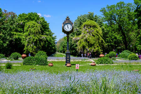 Bucharest, Romania, 9 May 2021: Large green trees, leaves, vintage clock and small blue forget me not or Scorpion grasses flowers in a sunny day at the entry to Cismigiu Garden (Gradina Cismigiu)のeditorial素材