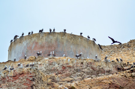 Enjoying the afternoonの写真素材