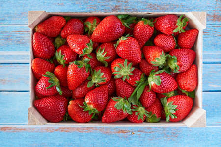 Deep red strawberries picked in a farmer wooden box on blue wooden tableの写真素材
