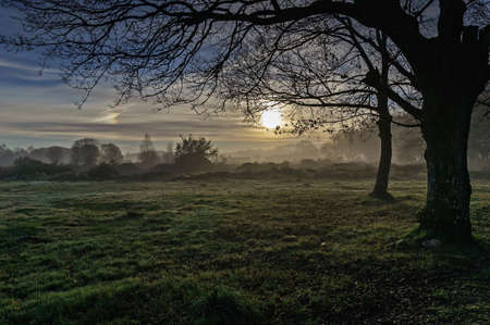Landscape with fog in the early morning when the first rays of the sun appearの写真素材