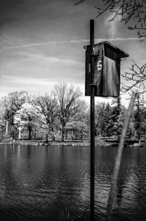 Bird house next to lakeの写真素材