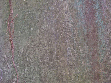old wallの写真素材
