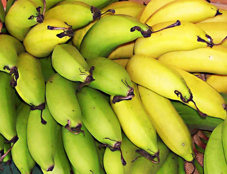 Bunch of bananasの写真素材