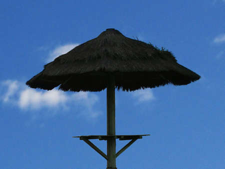Beach umbrellaの写真素材