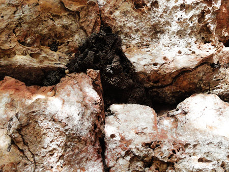 Texture with stone grottoの写真素材