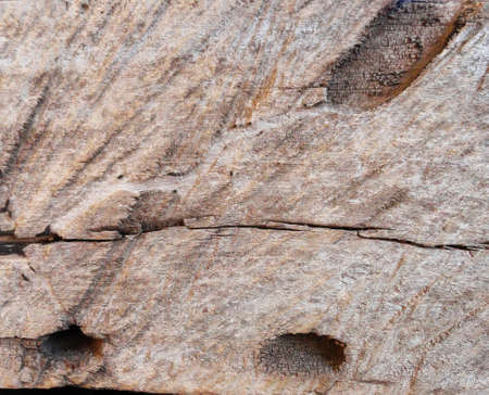 texture Woodの写真素材