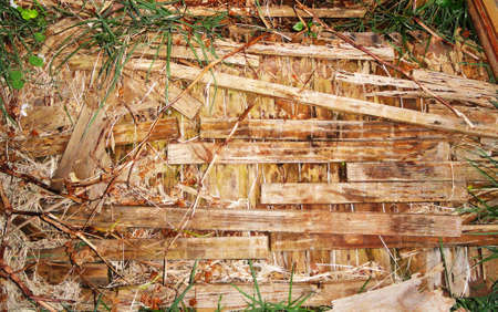 wood textureの写真素材