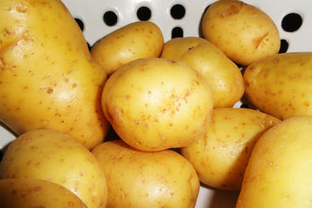 Potato harvestの写真素材