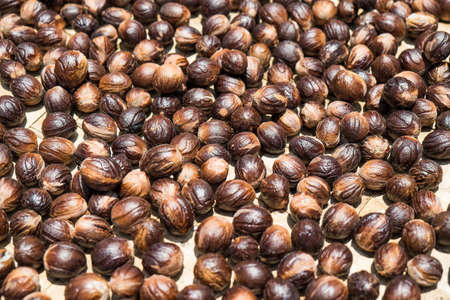 Nutmeg drying in the sunの写真素材