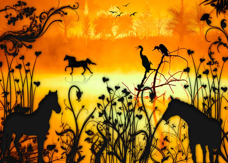 Natureの写真素材