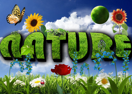 Natureの写真素材