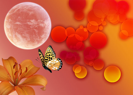 Designの写真素材