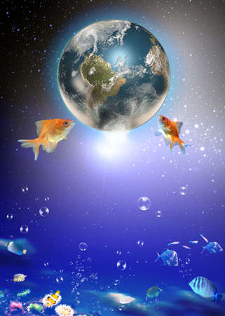 Fishの写真素材