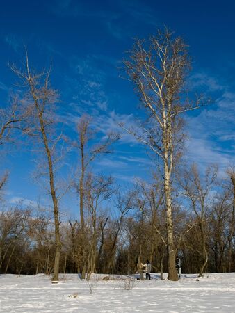 Painters draws in snow wood agaist a winter blue sky background.の写真素材
