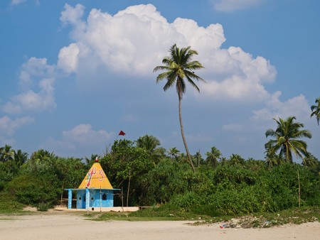 Tropical view of Indian with palms as backgroundの写真素材