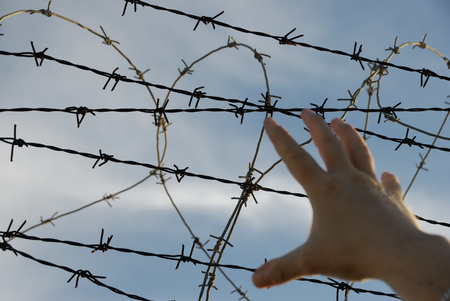 No more barriers and barbed wireの写真素材