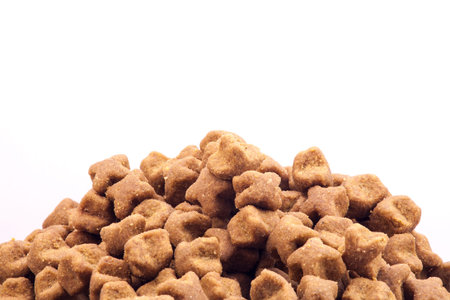 Isolated dog dry food.