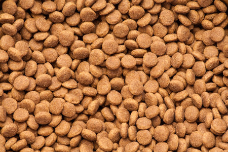 Dog dry food background.の写真素材