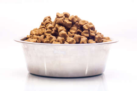 Isolated metal bowl with dog dry food.の写真素材