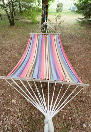 Rural vintage old colorful hammock treesの写真素材