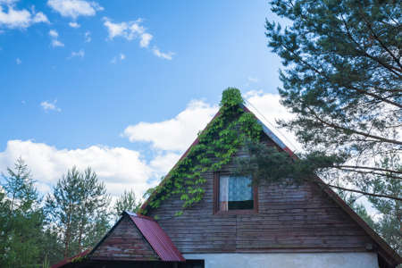Rural countryside house green trees blue sky sunlightの写真素材