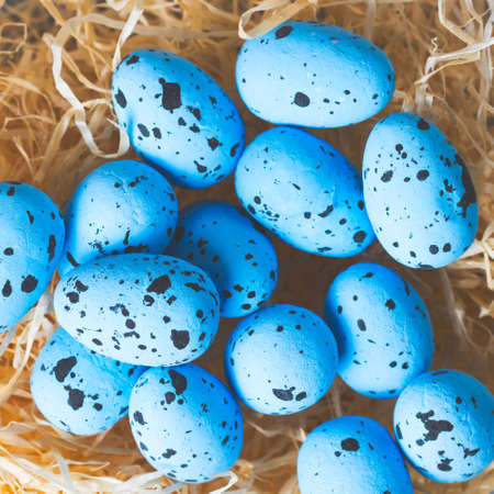 Bird's nest made out of hay with blue eggs. Flat lay top view.の写真素材
