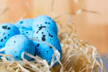 Bird's nest with hay and blue eggs. Copy space on the right.の写真素材