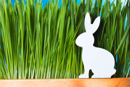 Easter bunny wooden figurine sitting in the grass. Spring time concept.の写真素材