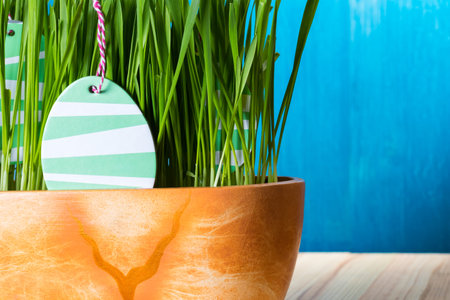 Easter eggs in green grass during spring. Copy space on the right. Blue background.