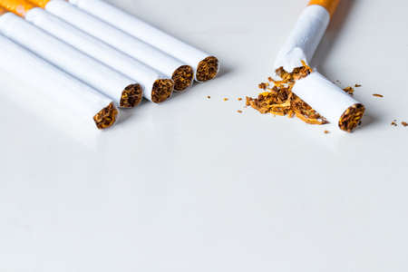 Bunch of cigarettes with one broken on white background. Quiting nicotine and tobacco addiction abstract concept. Copy space on the bottom.の写真素材
